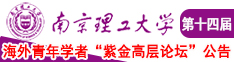 毛片靠逼的南京理工大学第十四届海外青年学者紫金论坛诚邀海内外英才！